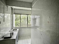 Botanic Gardens Mansion (D10), Apartment #464987081